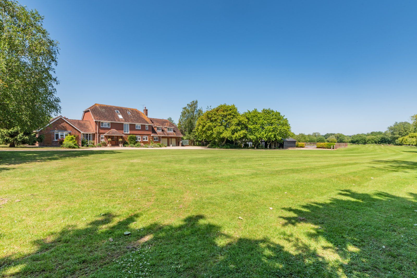 Meadow View