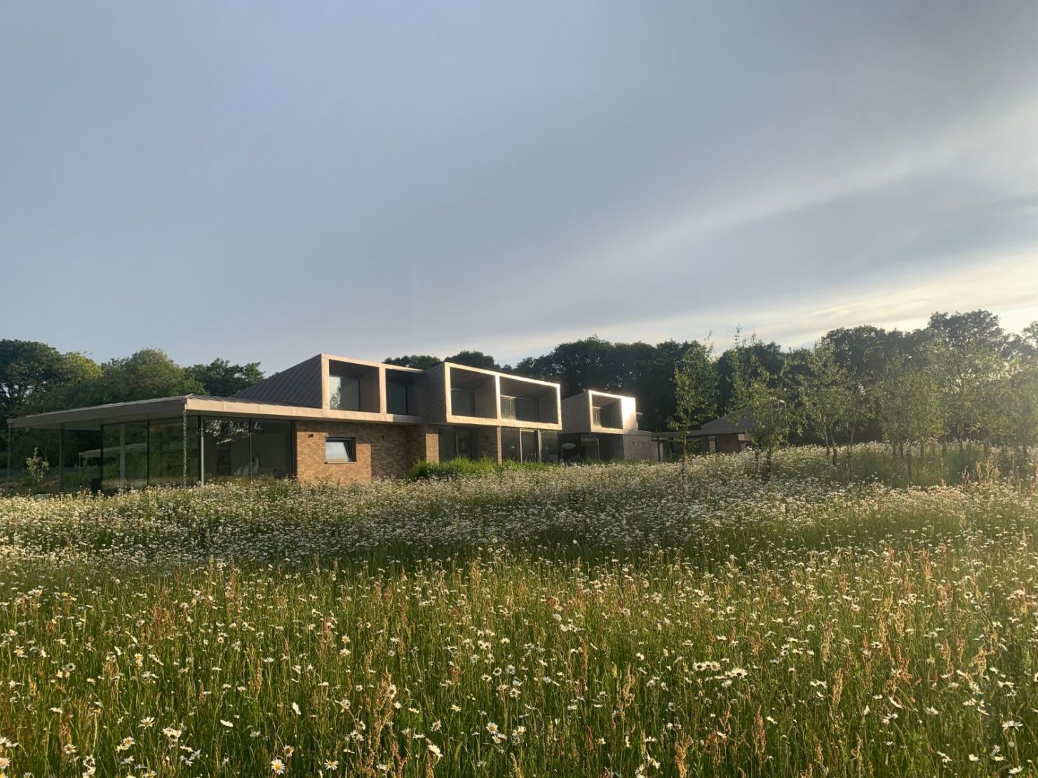 Modernist Design