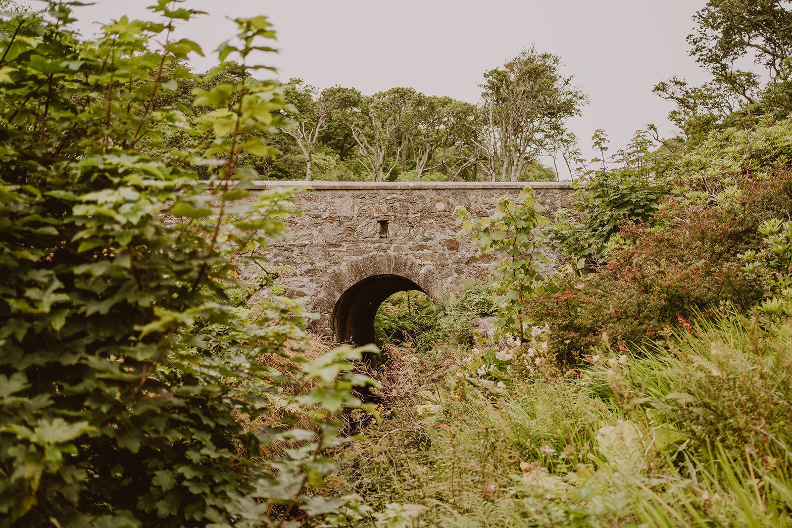 Bridge