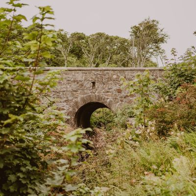 Bridge