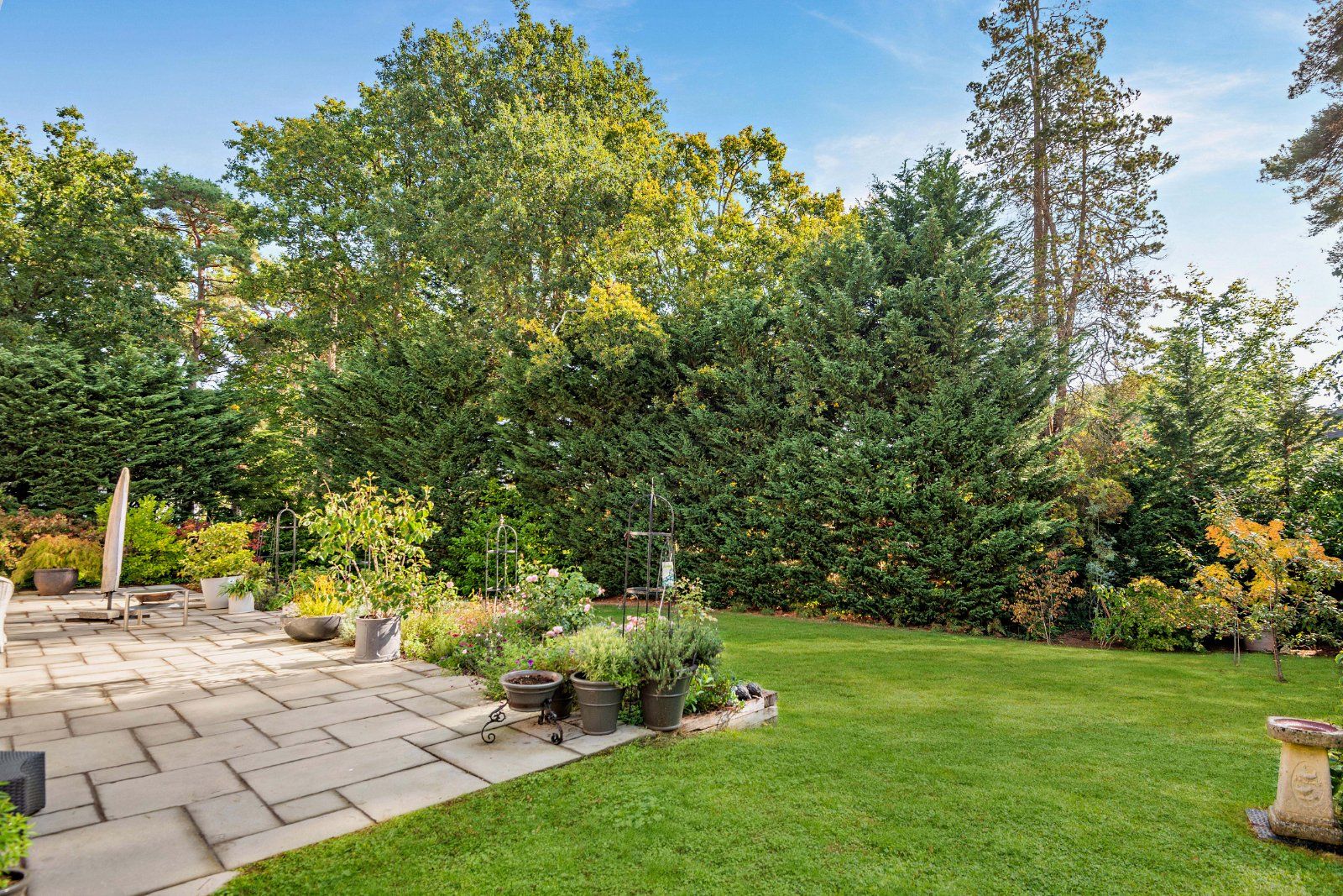 Terrace and Garden