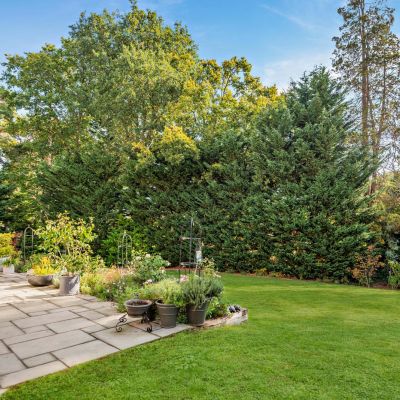 Terrace and Garden