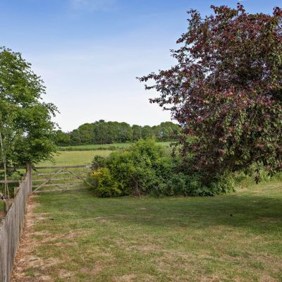 View Over Land
