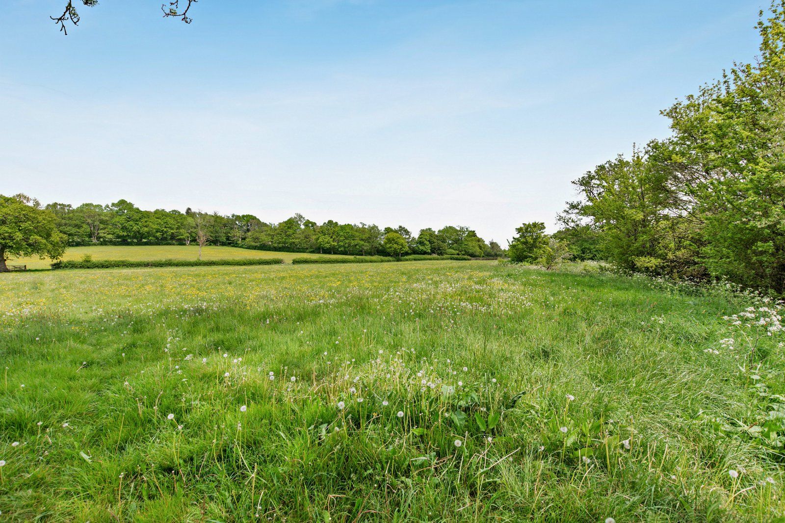 Picture No. 13