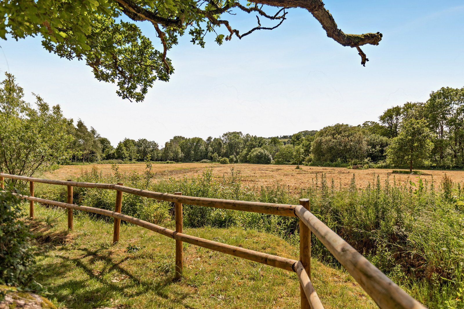 Grounds