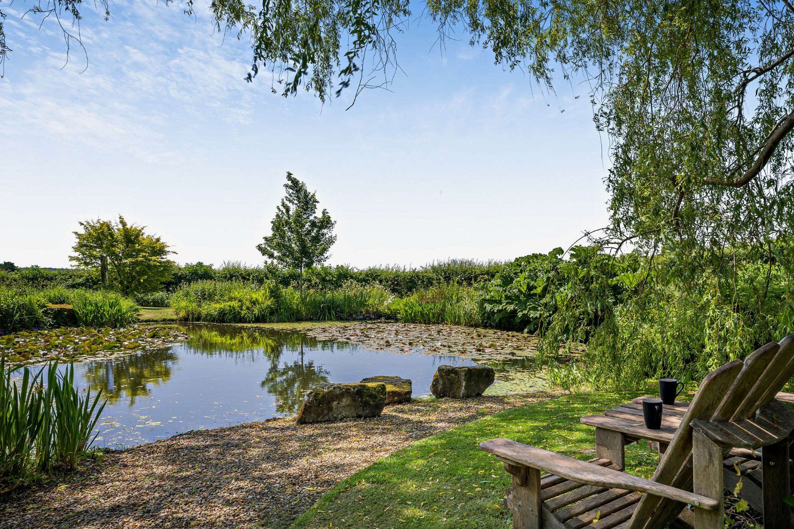Pond
