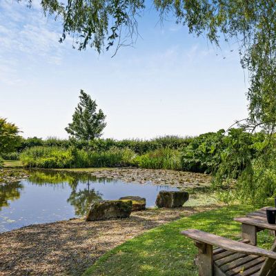 Pond