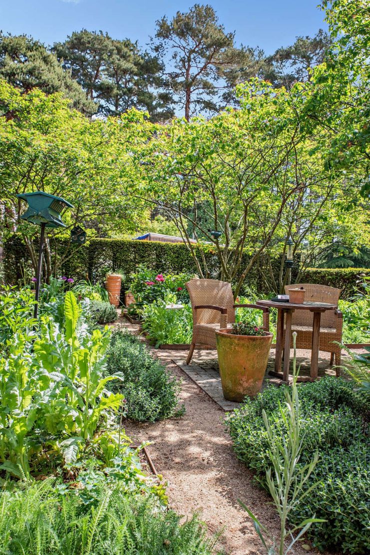 Garden