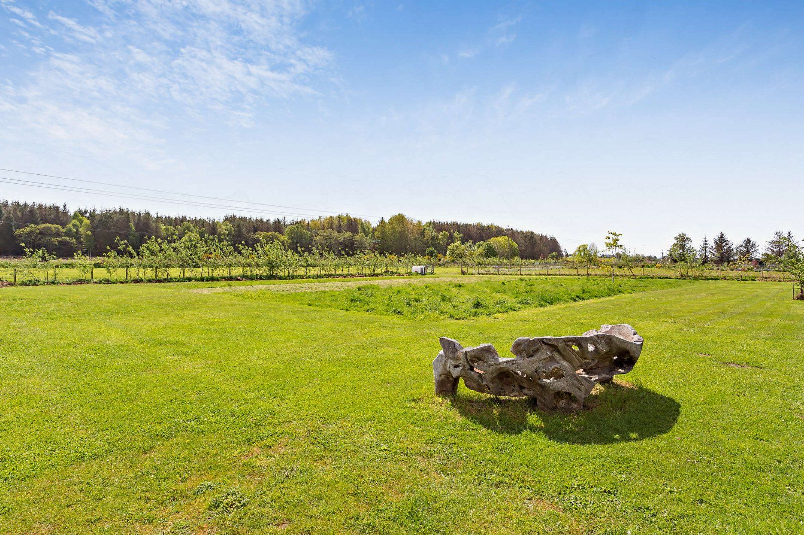 Wagtail Lodge
