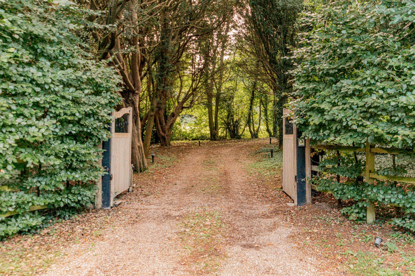 Driveway