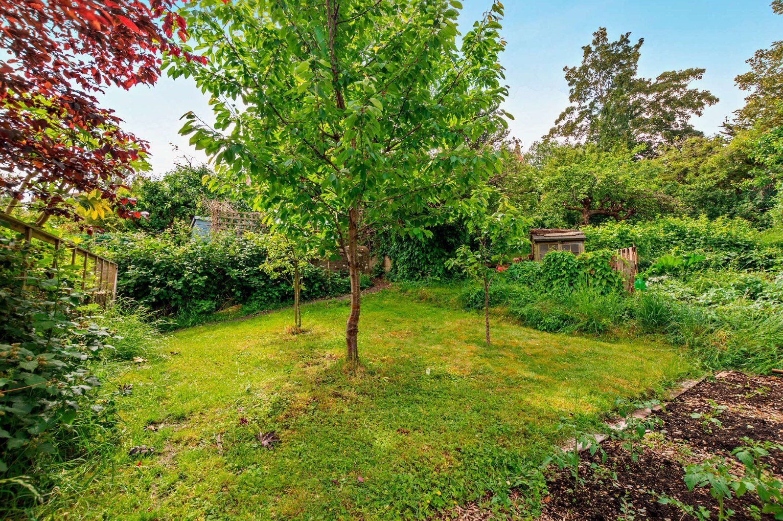 Additional Garden