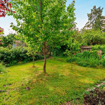 Additional Garden