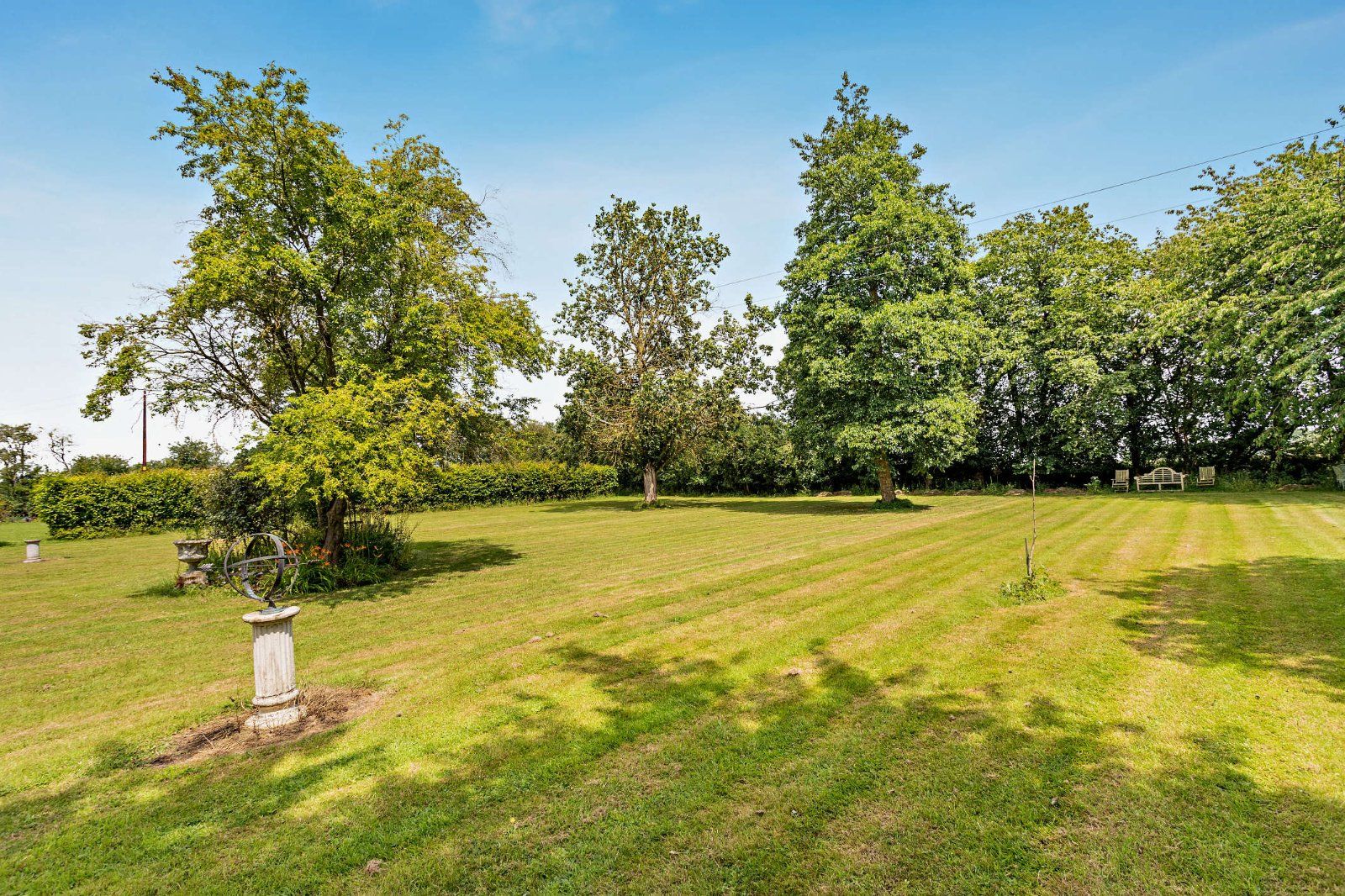 Grounds