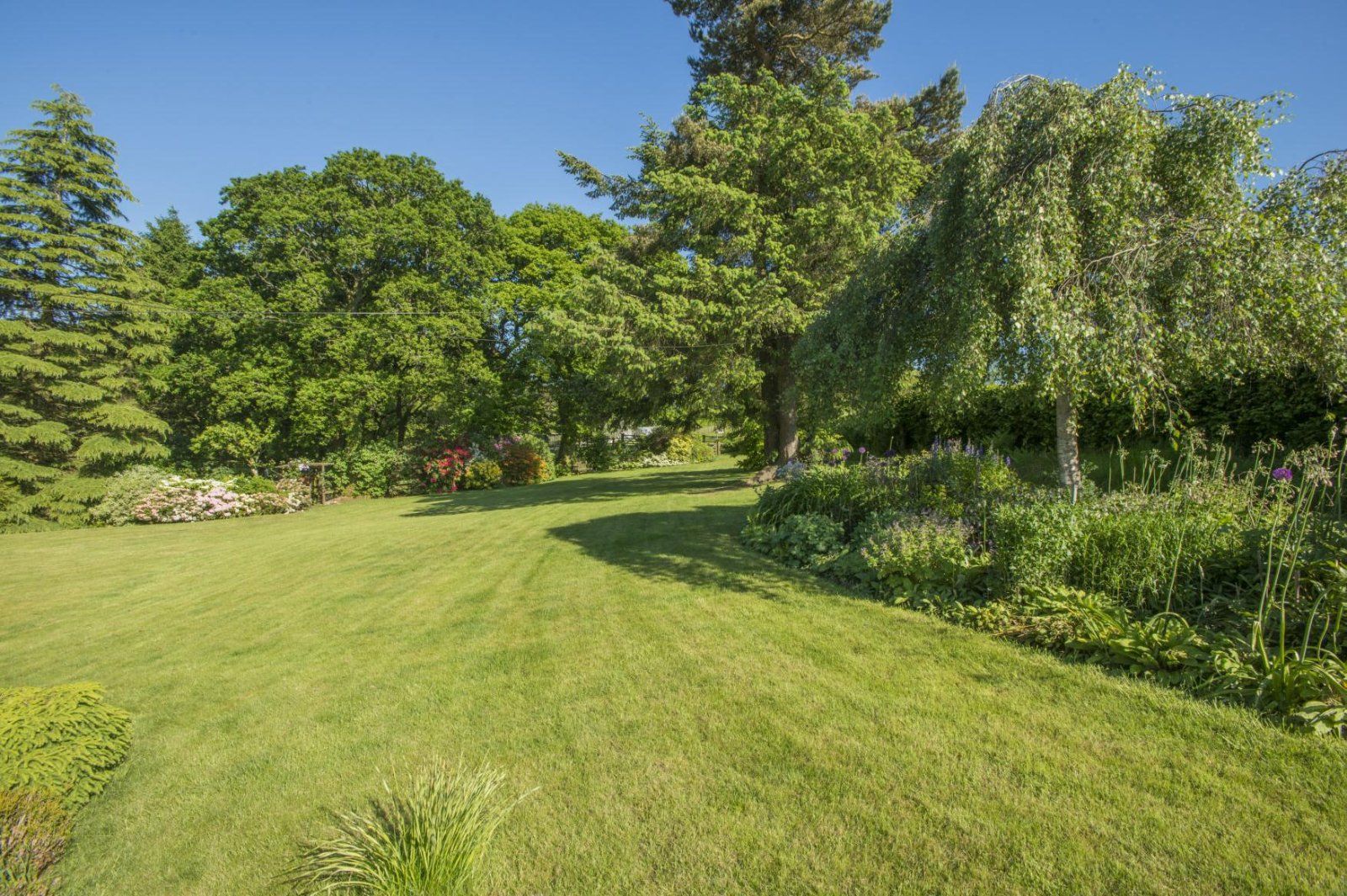 Grounds
