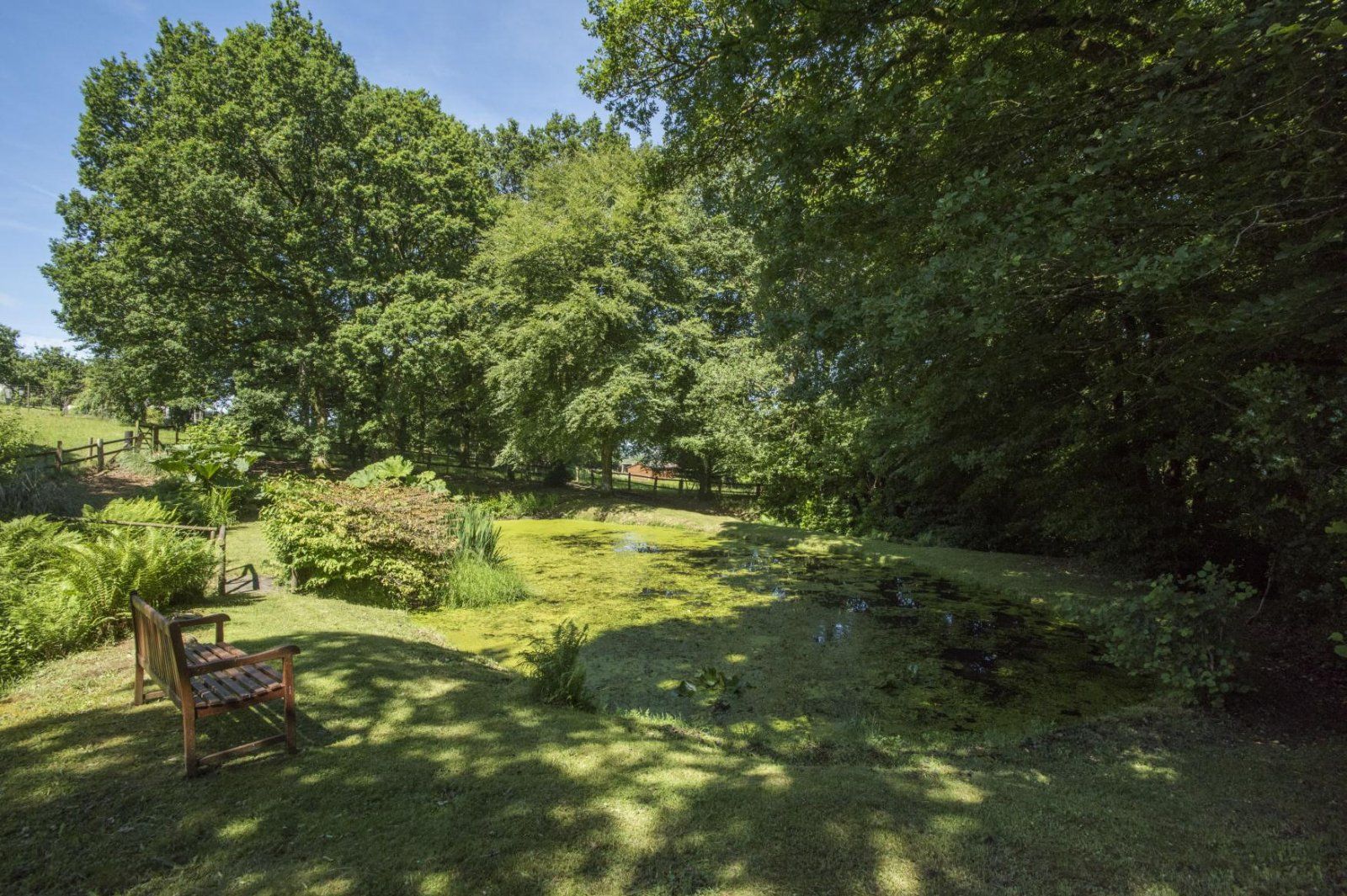 Grounds
