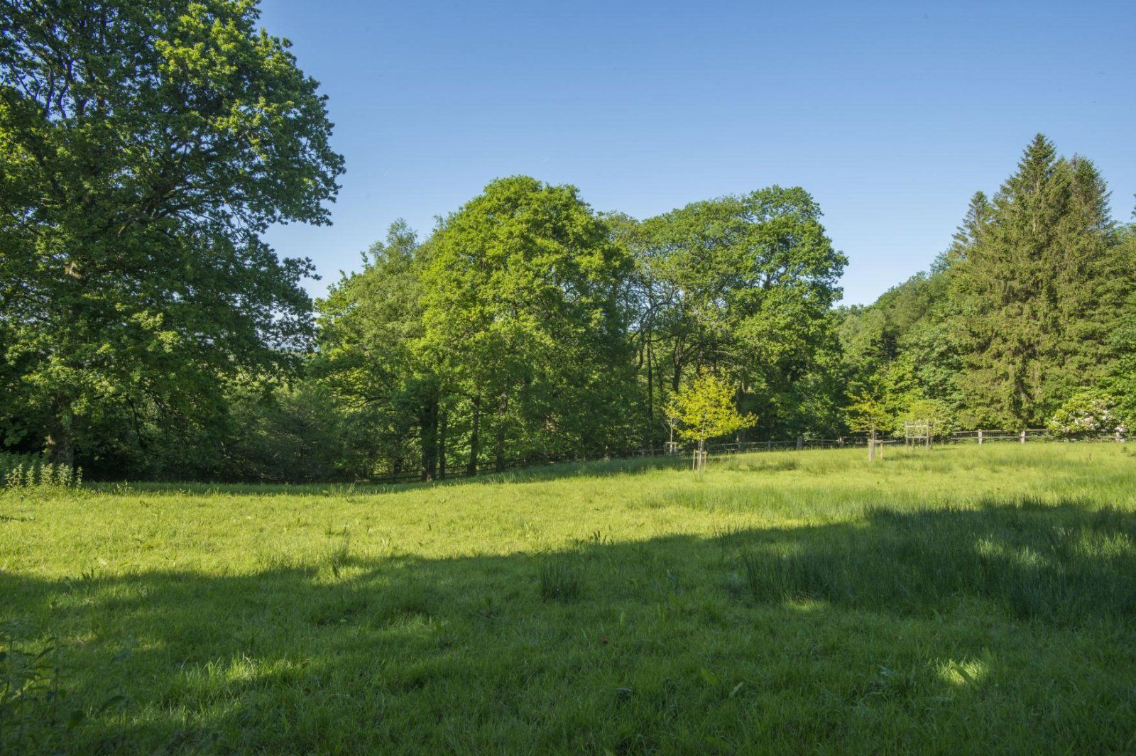Grounds