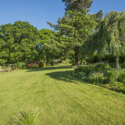 Grounds