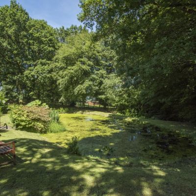 Grounds
