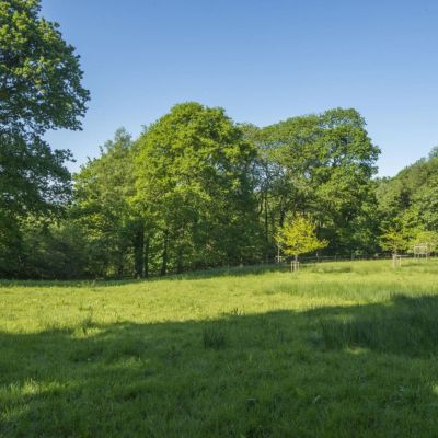 Grounds