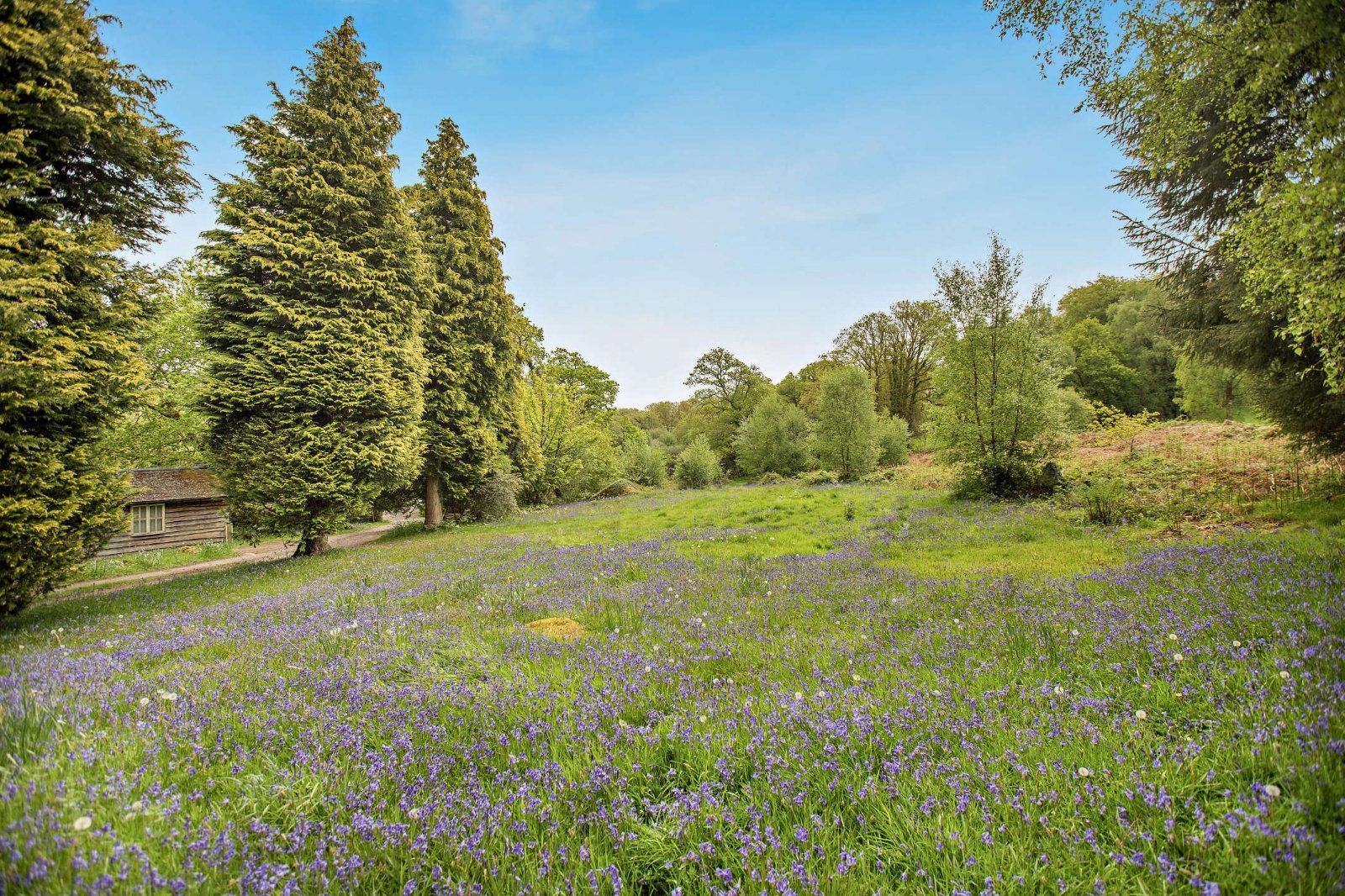 Grounds