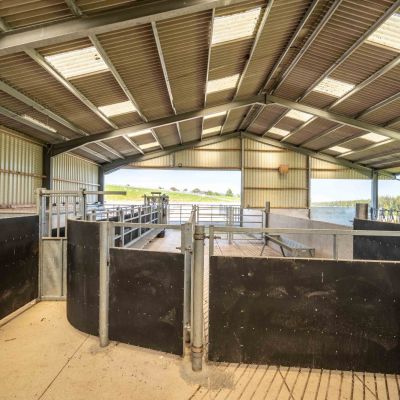 Wester Lealty Farm