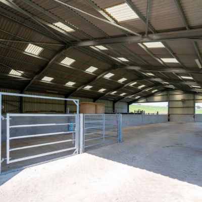 Wester Lealty Farm