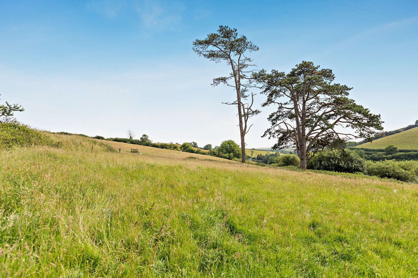 Grounds