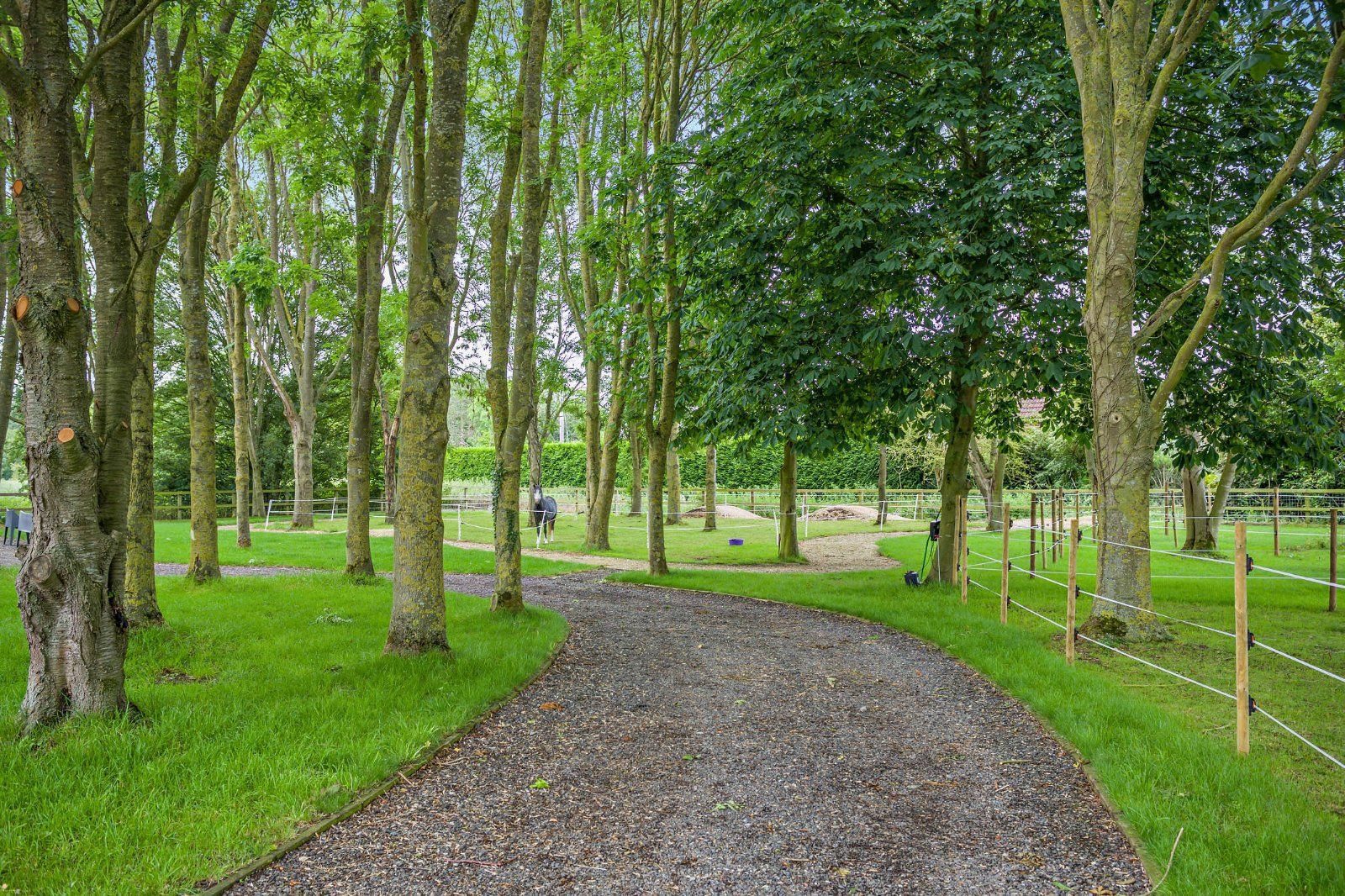 Grounds