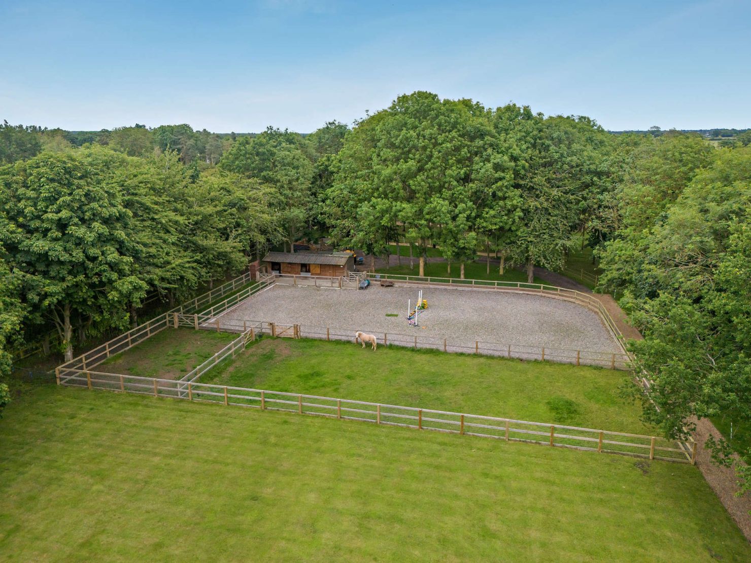 Equestrian Features