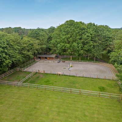 Equestrian Features
