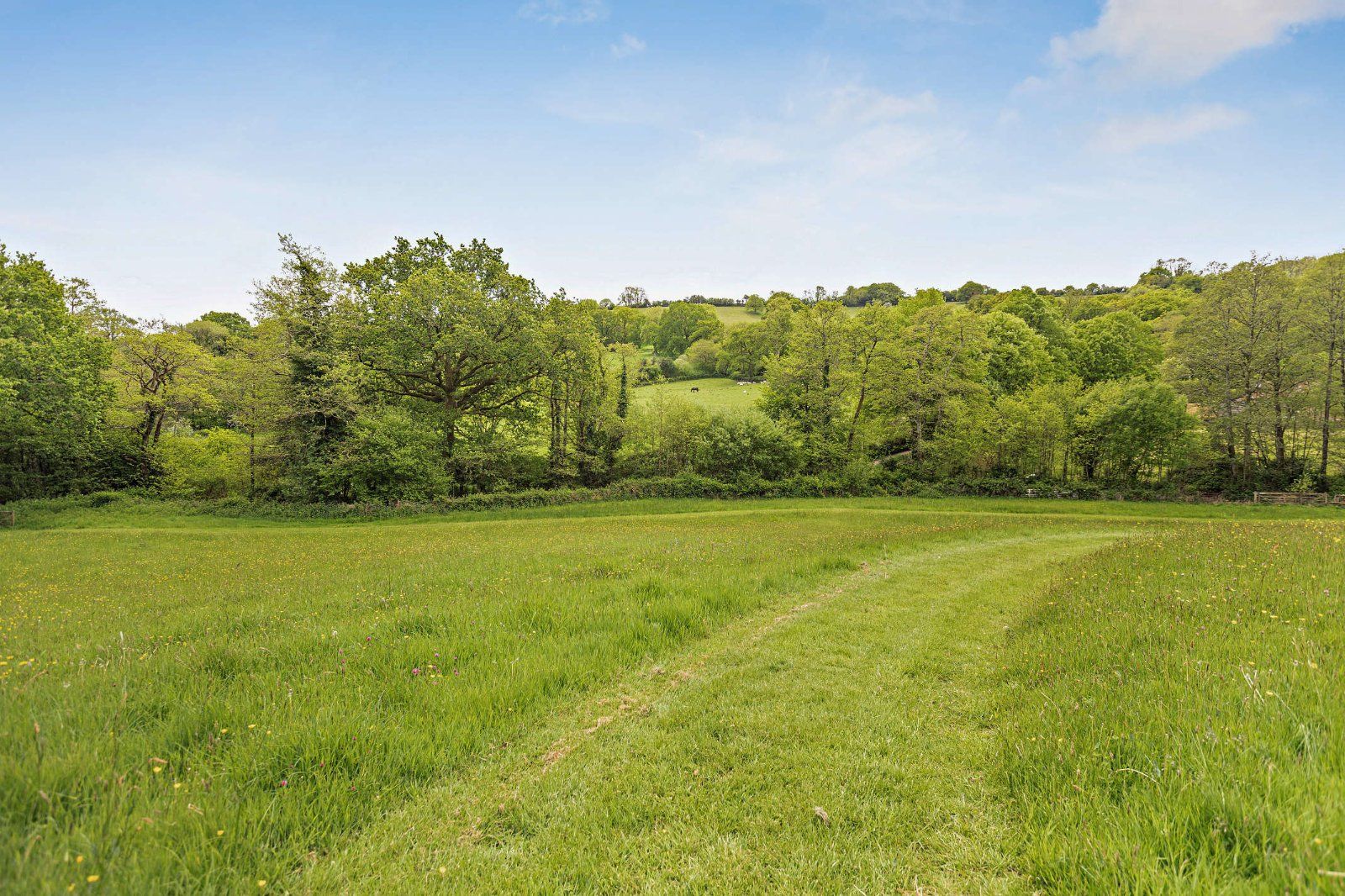 Grounds