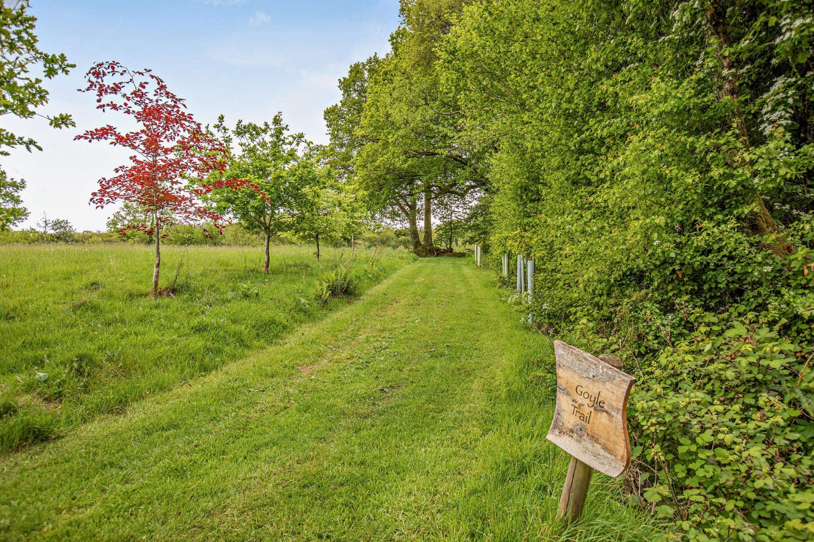 Grounds
