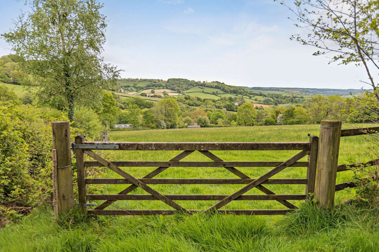Grounds