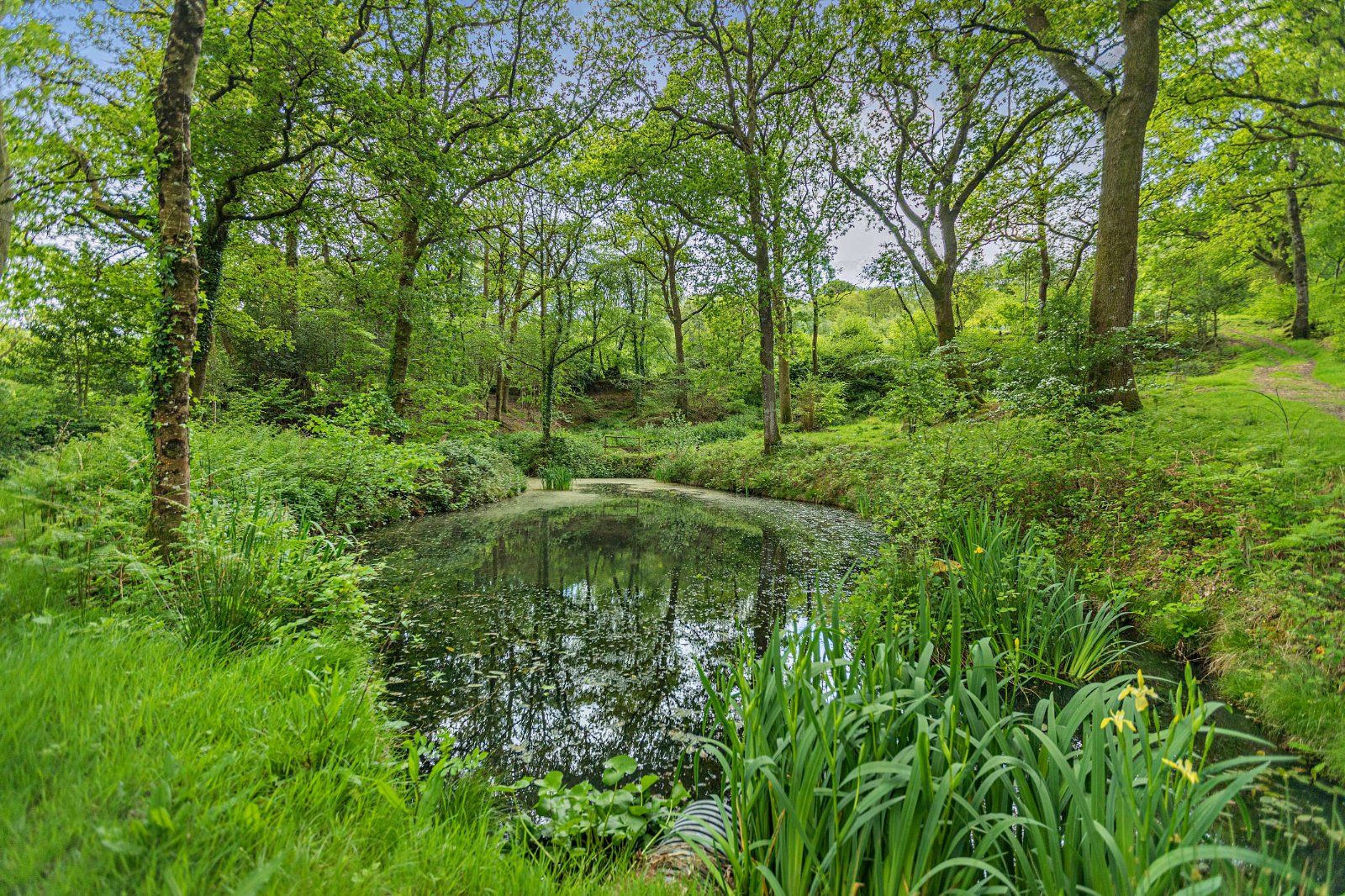 Grounds