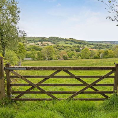 Grounds