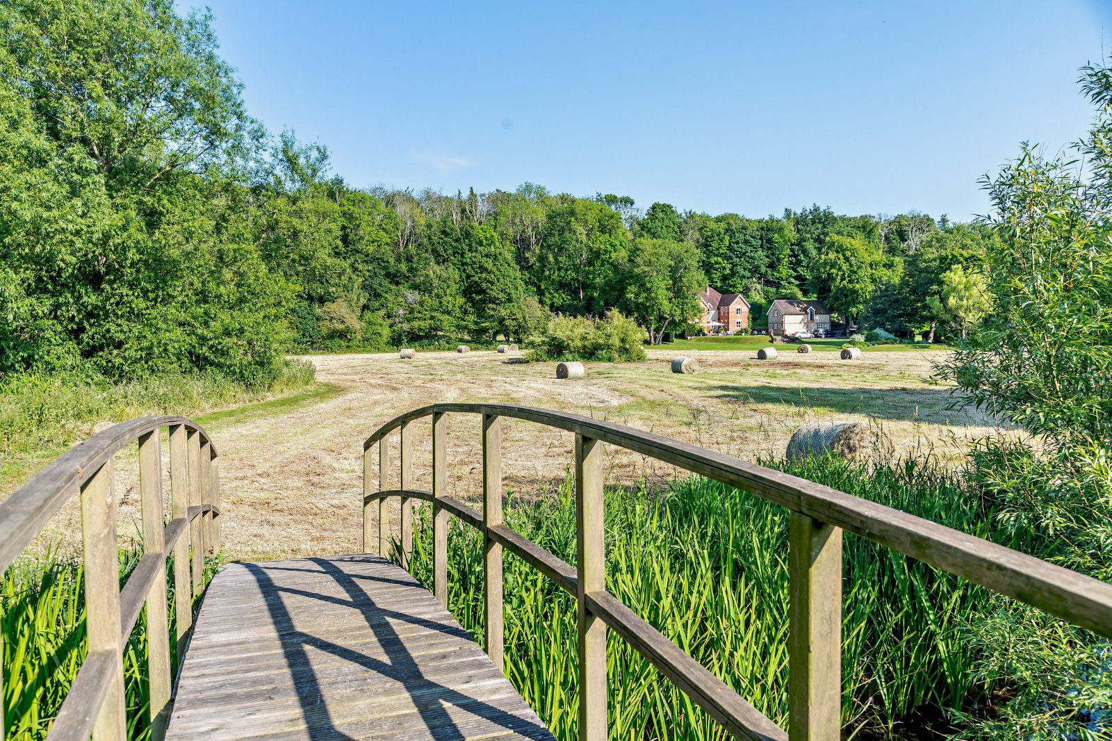 Grounds