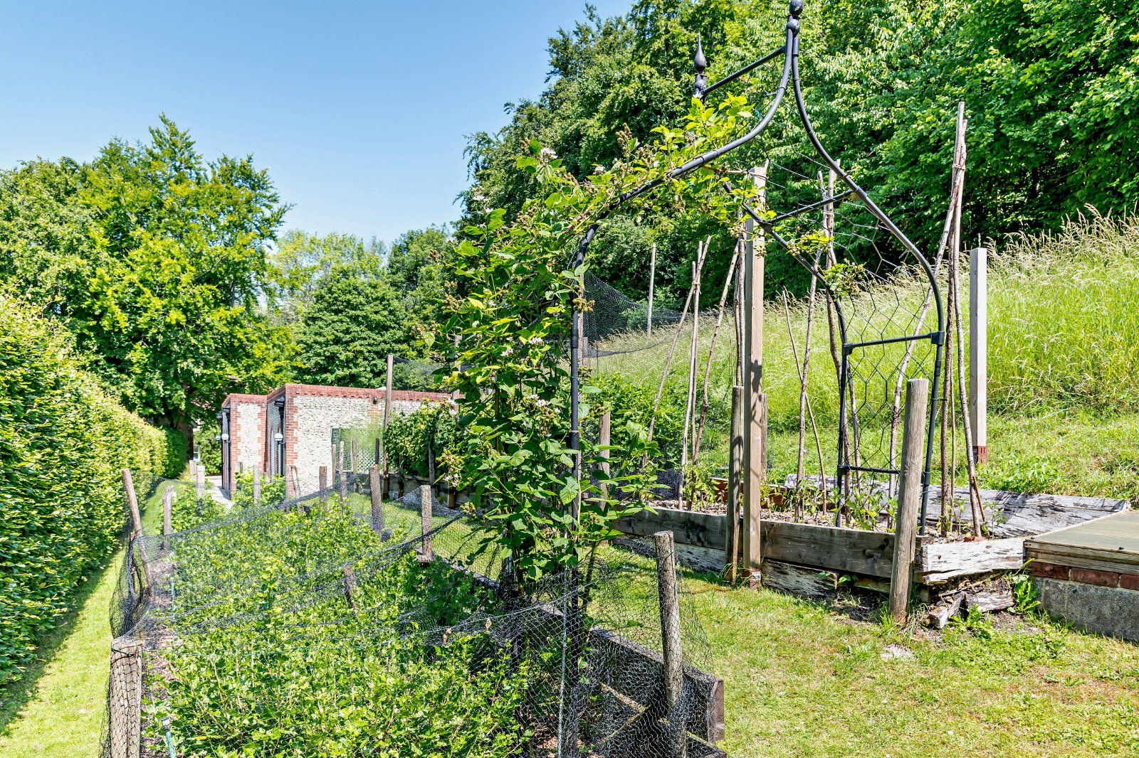 Vegetable Garden
