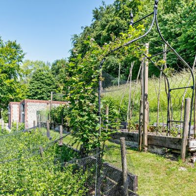 Vegetable Garden