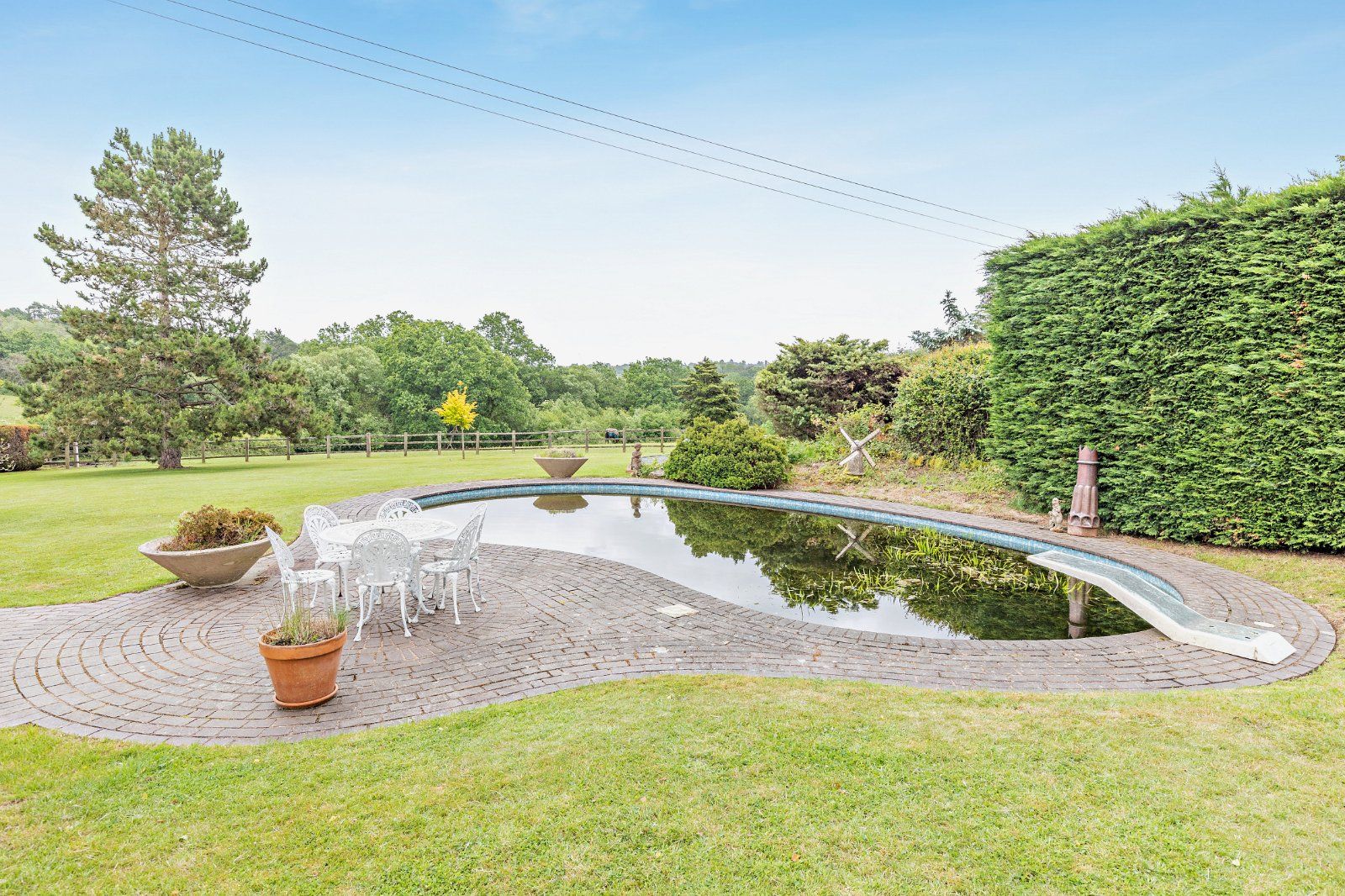 Pond