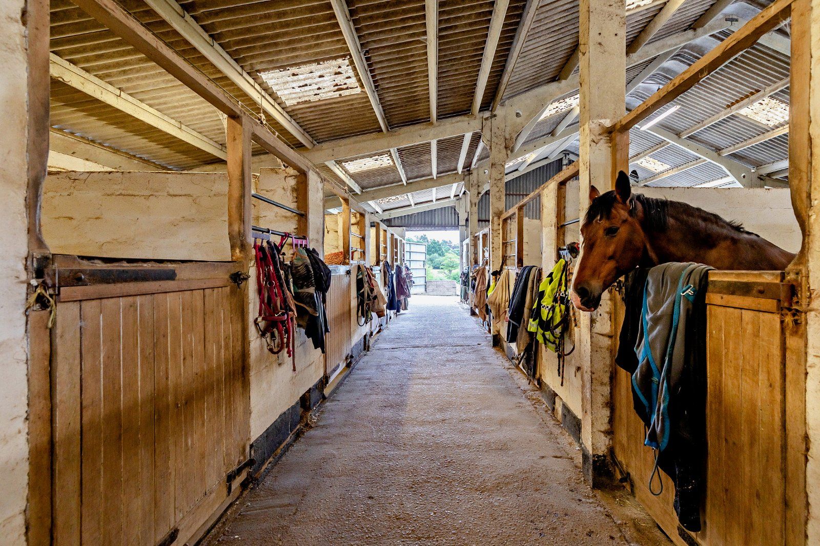 Stables