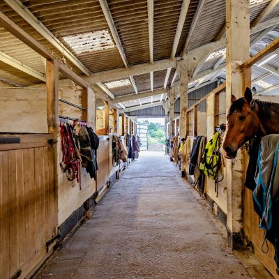 Stables