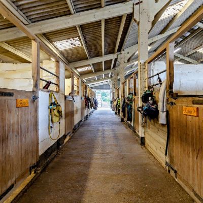 Stables