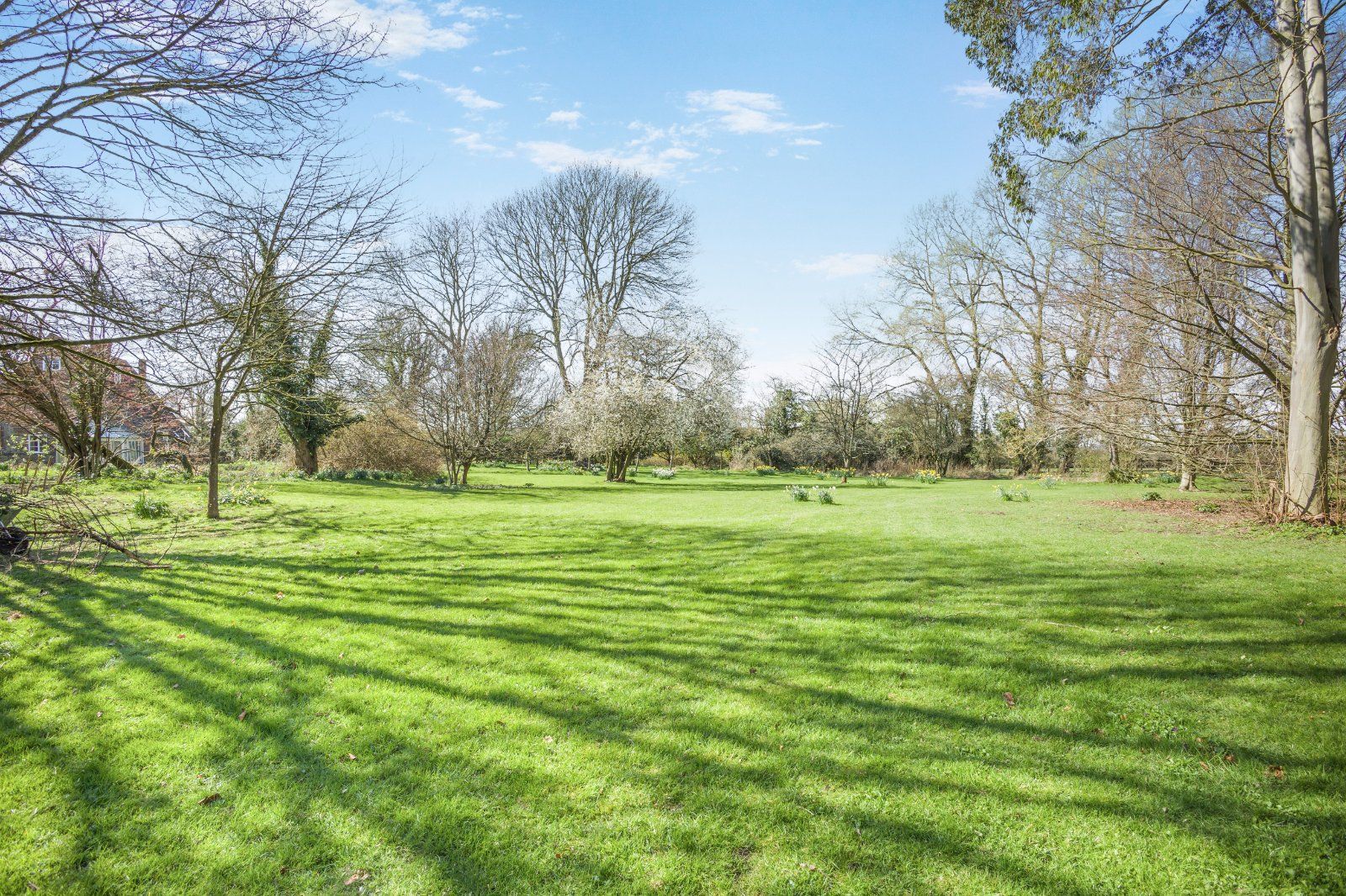 Grounds