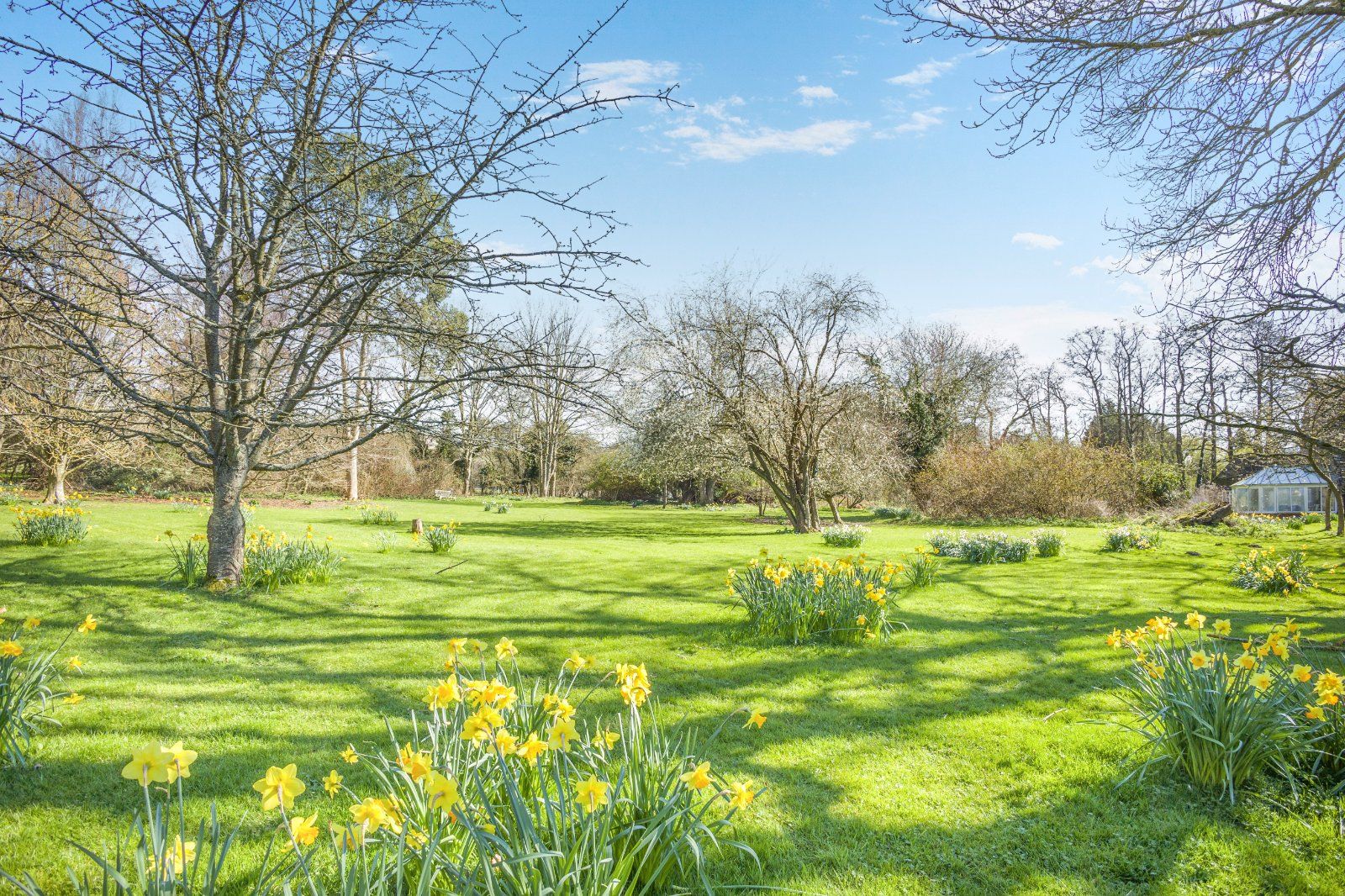 Grounds