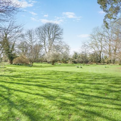 Grounds