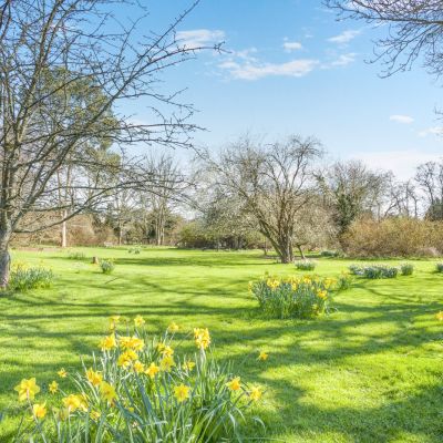 Grounds