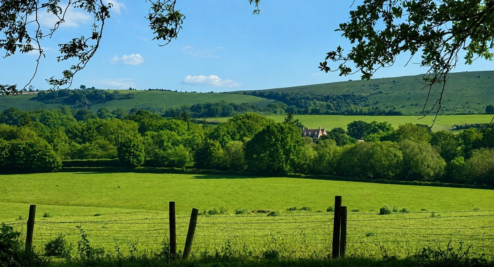 Picture No. 05