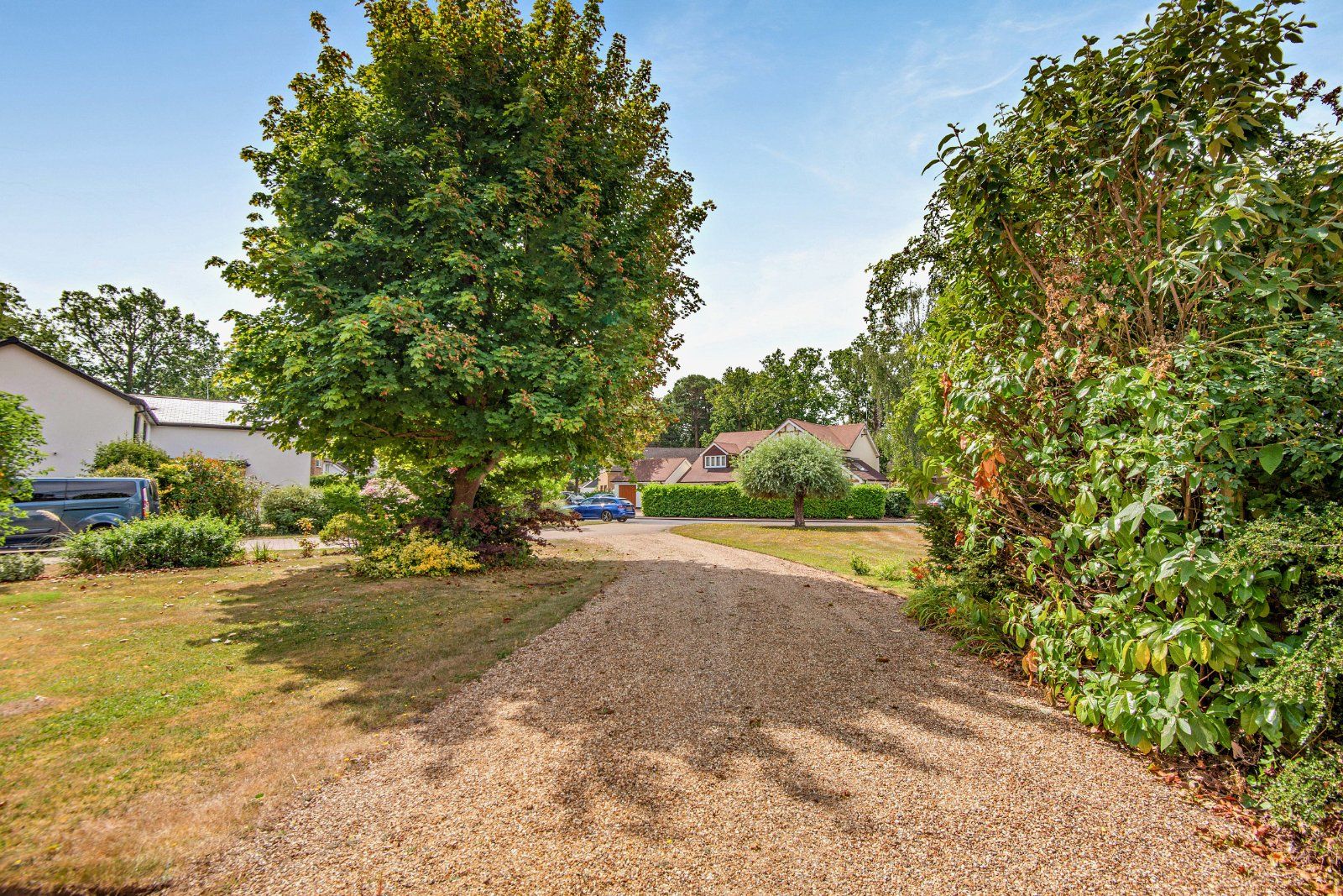 Front & Driveway