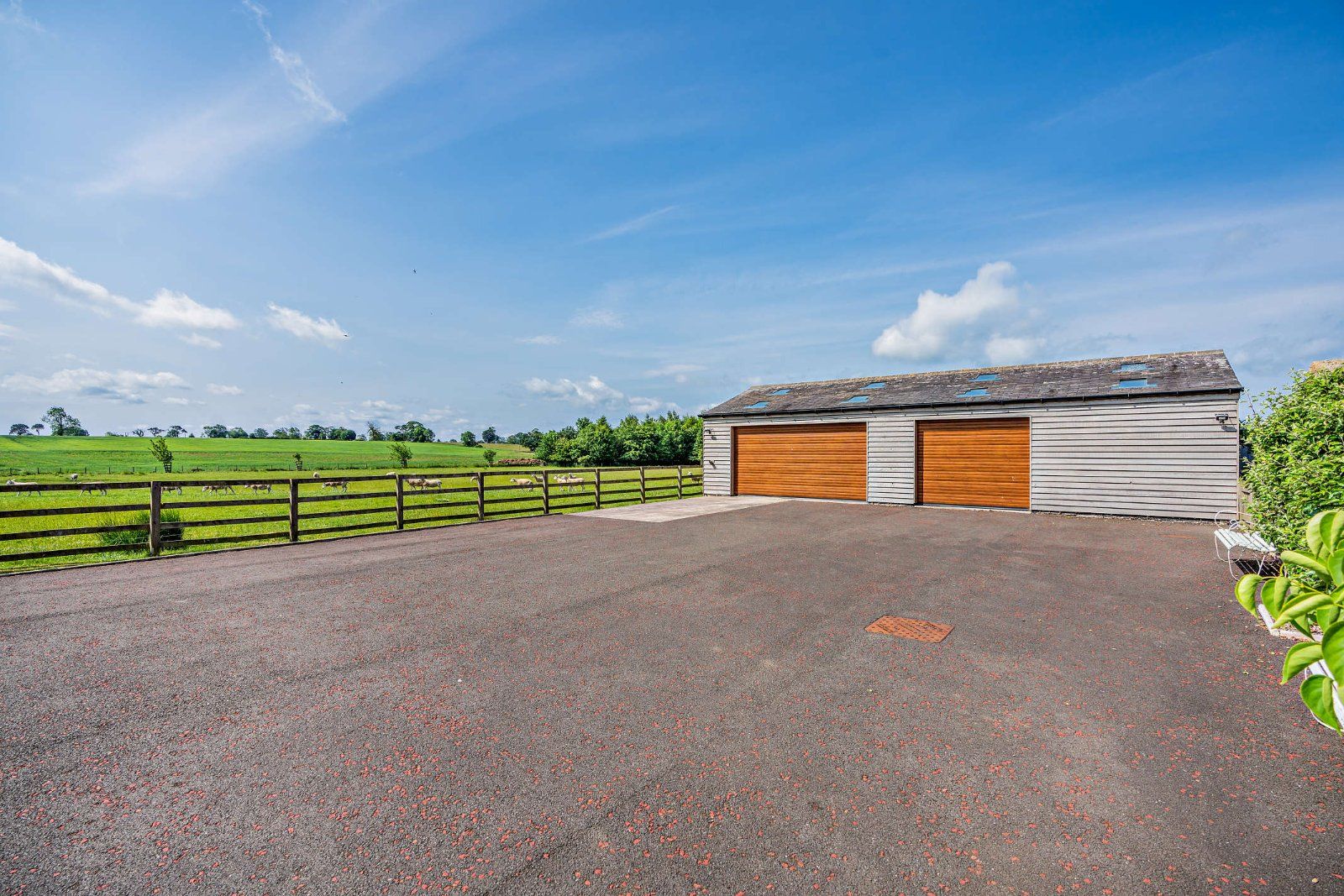 Driveway & Garage