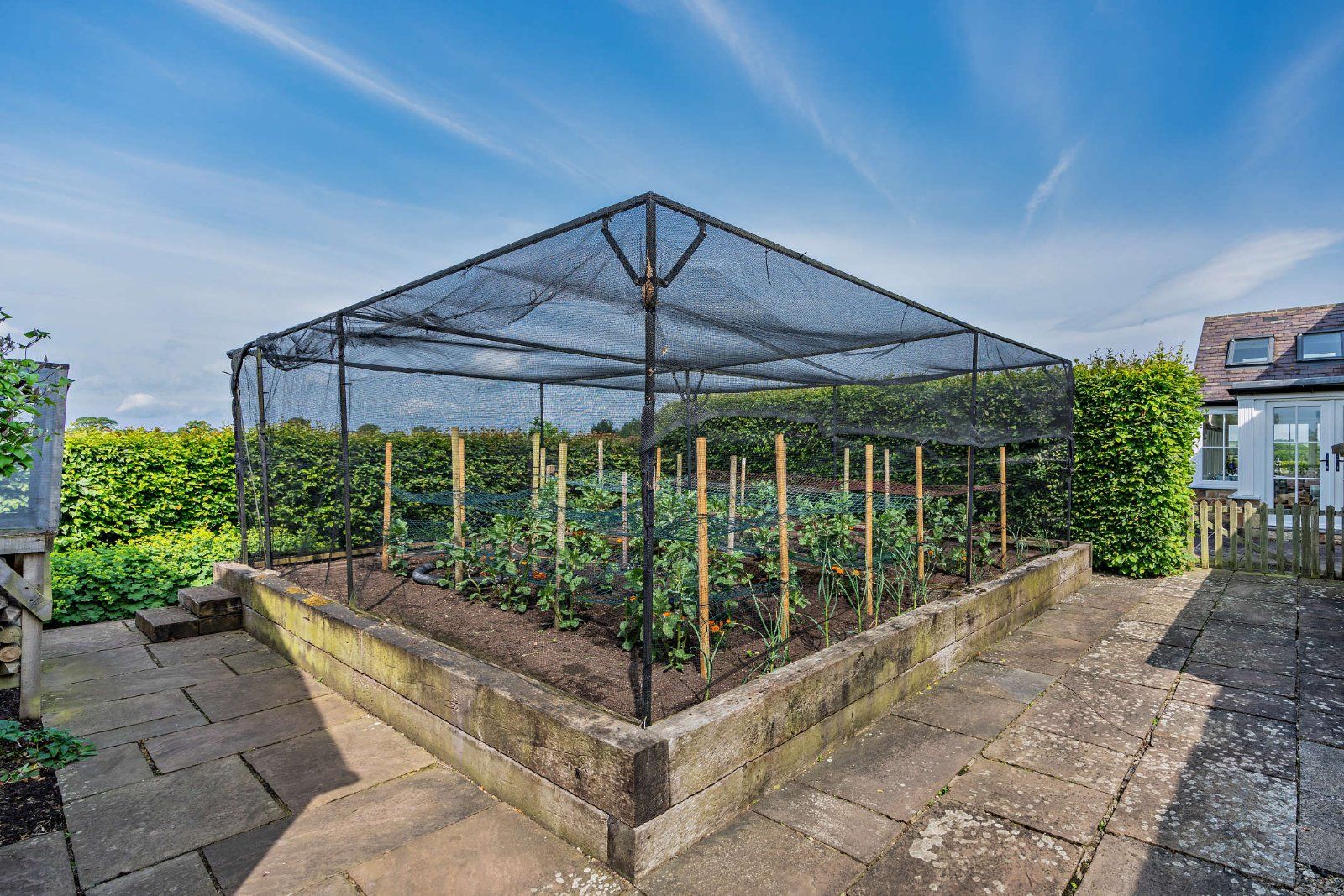 Raised Planting